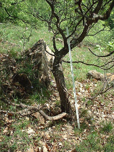 les bâtons aveugle _© pierre-yves freund