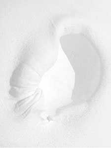 vers le blanc _© pierre-yves freund